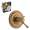 Brizo Baliza KS60005-R-BZ