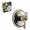 Brizo Charlotte KS60085-R-PNCO