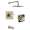 Brizo Siderna KTS60480-R-BN