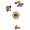 Brizo RSVP KTS60P490-R-BZ