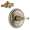 Brizo Charlotte KS66T085-R-BN