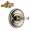 Brizo Charlotte KS66T085-R-PN
