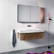 Catalano 48.063-in W x 19-in D Zero ZD1251DR-V01
