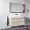 Catalano 48.063-in W x 19-in D Zero ZD1252DR-P19