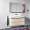 Catalano 48.063-in W x 19-in D Zero ZD1252DR-V10