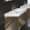 Catalano 28.375-in W x 19-in D Zero ZO0752DR-V09