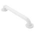 12in x 1-1/4in Grab Bar in Glacier