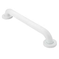 24in x 1-1/4in Grab Bar in Glacier