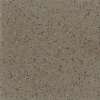 Silt Stone