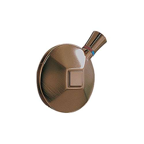 Brizo Vesi RP42432BZ