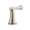 Brizo Baliza RP62790BN