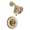Delta Victorian T14255-CZLHP
