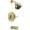 Delta Classic T13420-PBSHCCER