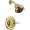 Delta Classic T13220-PBSHCCER