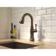 Delta Cassidy 9997-RB-DST