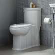 One-Piece Elongated Toilet, in Canvas White