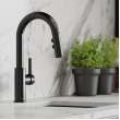 Avado Single Hole Bar Faucet With Pull-Down Spray And Lever Handle Black Stainless, LKAV3032BK