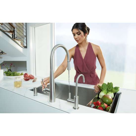 Franke 8.75-In Single Handle Cold Water Filtration Faucet, Unj-Fw-304