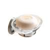 Canterbury 1515/SN Soap Dish in Satin Nickel