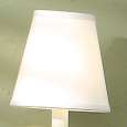 Light Fixtures