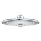 26456000 Euphoria 260 3-Sprays Shower Head with 1.8 gpm Flow in StarLight Chrome