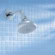 Grohe New Tempesta Classic 27606000