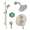 Hansgrohe Raindance KSH04231-04342-66BN