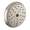 Hansgrohe Raindance C 028445821