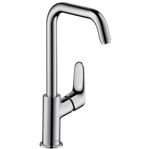 Hansgrohe Focus 31609