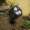 Kichler Landscape LED 15733BKT