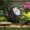 Kichler Landscape LED 15743BKT