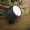 Kichler Landscape LED 15751BKT