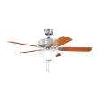 Kichler Renew Select 330110BSS