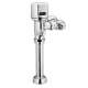 Flush Valves