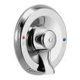 Valve Trim