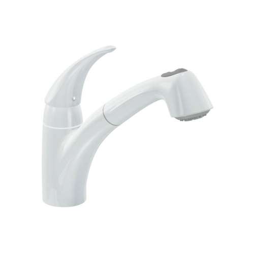 Moen Extensa 7560W