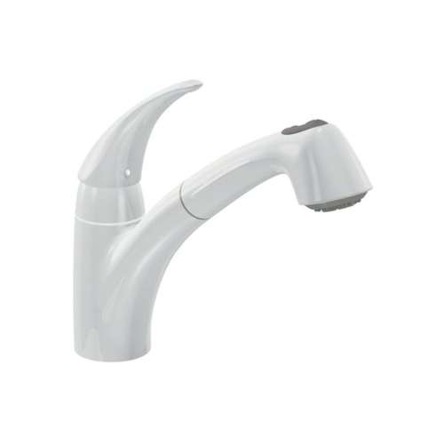Moen Extensa 7560V