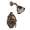 Moen Vestige T2605ORB
