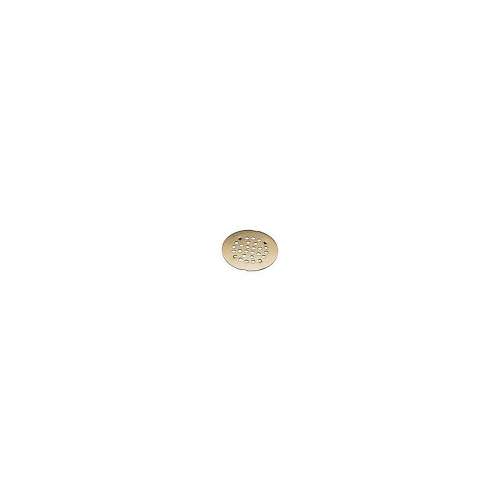 Moen Kingsley 101663AZ