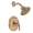 Moen Icon TS2142BB