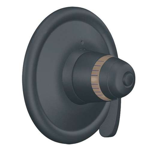 Moen ExactTemp TS3411WR