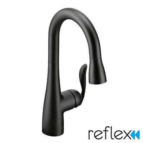Moen Arbor 5995BL