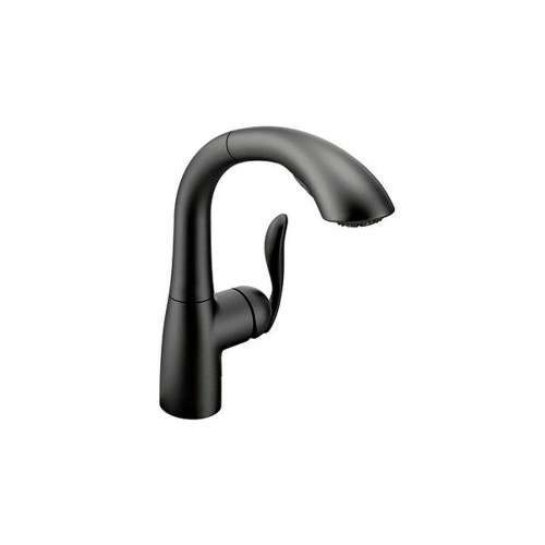 Moen Arbor 7294-M