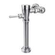 Flush Valves