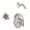 Moen Brantford KSBR-P-T2152NHBN