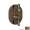 Rohl Perrin and Rowe U.5756LS-EB/TO