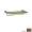 Rohl Cisal CIS10TCB