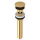 Slotted Touch Seal Dome Drain with 6-in Tailpiece in Italian Brass