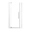 SMRDPD4276108C-BS Reverie Duo 42-in x 76-in Pivot Shower Door With 5/16-in Clear Glass And Sampson Double-Sided Handles, Brushed Stainless