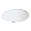 19-1/16-in x 15-3/8-in x 10-3/8-in Vitreous China Undermount Oval Bathroom Sink with Overflow in White